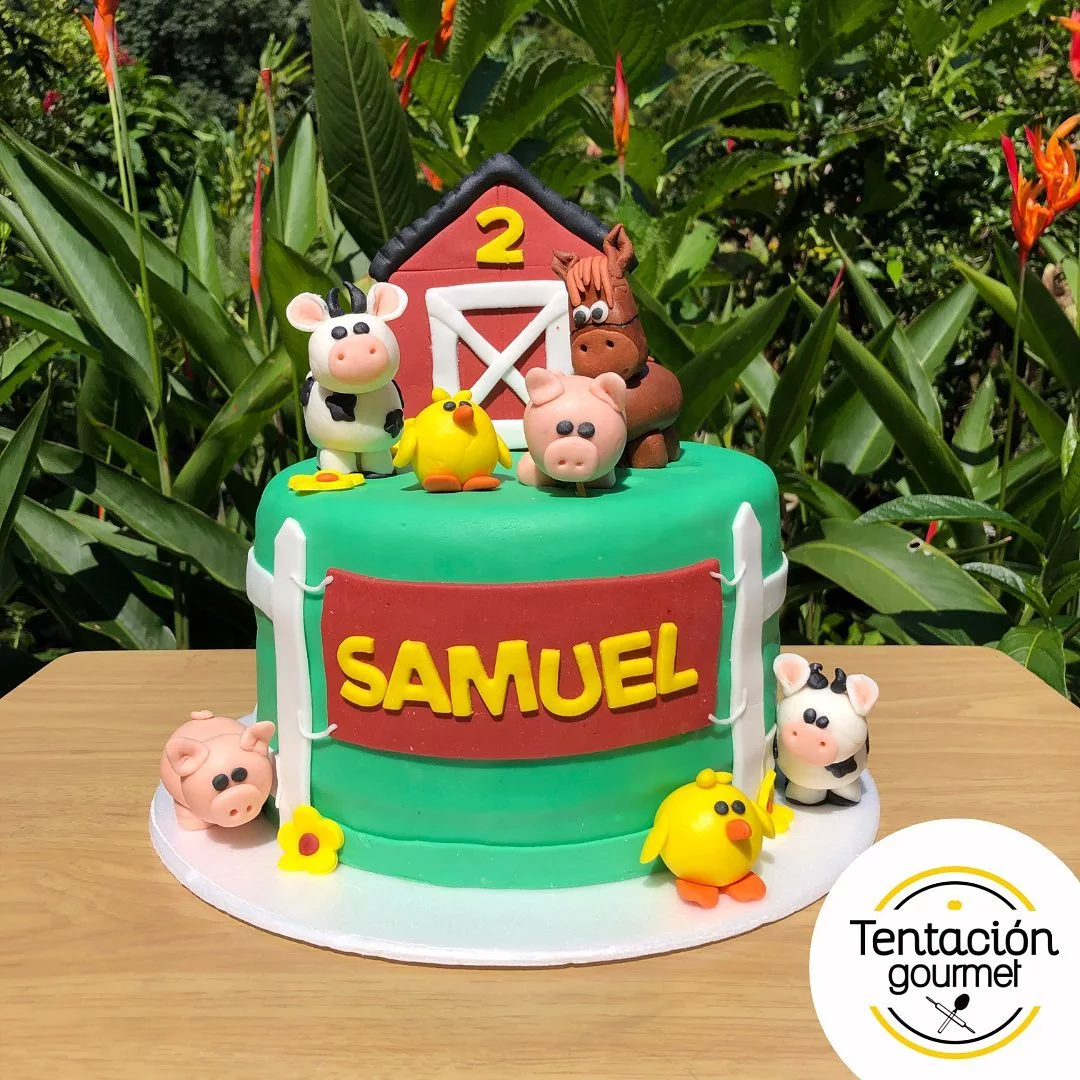 Torta decorada estilo minigranja con figuras